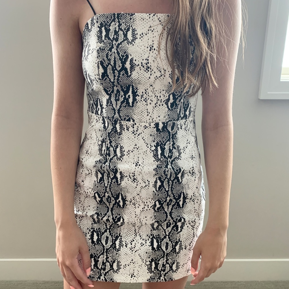 Snakeskin Boutique Dress